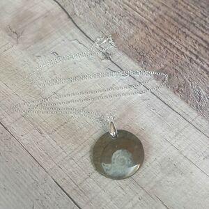 Ammonite Fossil Necklace Natural Fossilized Stone Pendant